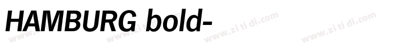 HAMBURG bold字体转换